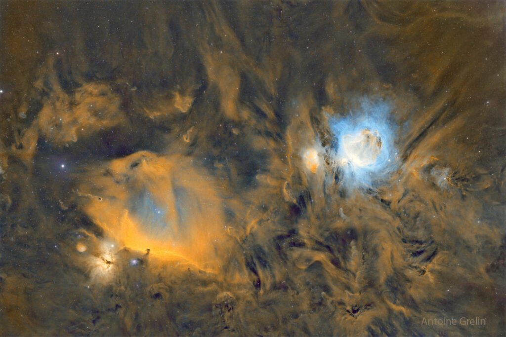 The Horsehead and Orion Nebulas